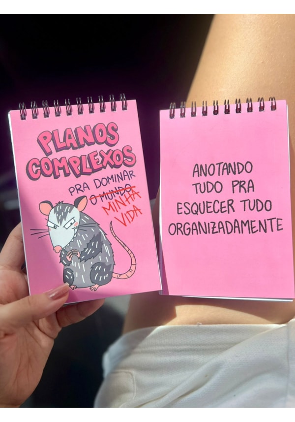 Agenda Saruê Planos Complexos