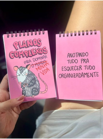 Agenda Saruê Planos Complexos