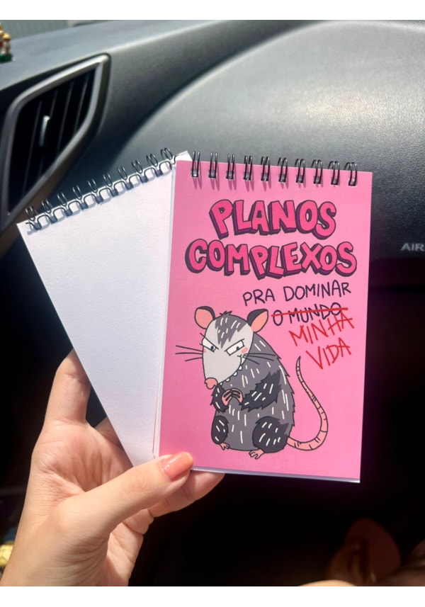 Agenda Saruê Planos Complexos