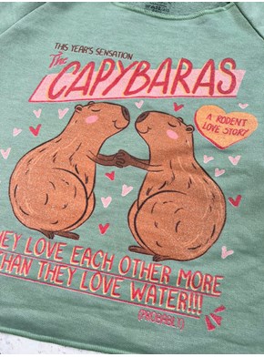 Blusa Moletom Capybara - Verde Menta