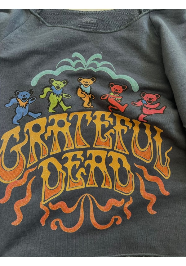 Blusa Moletom Grateful Dead - Grafite