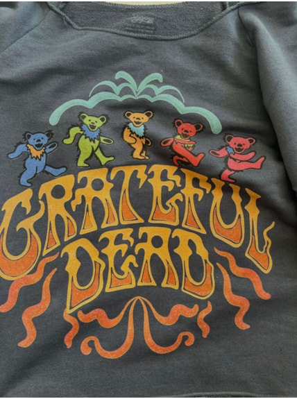 Blusa Moletom Grateful Dead - Grafite