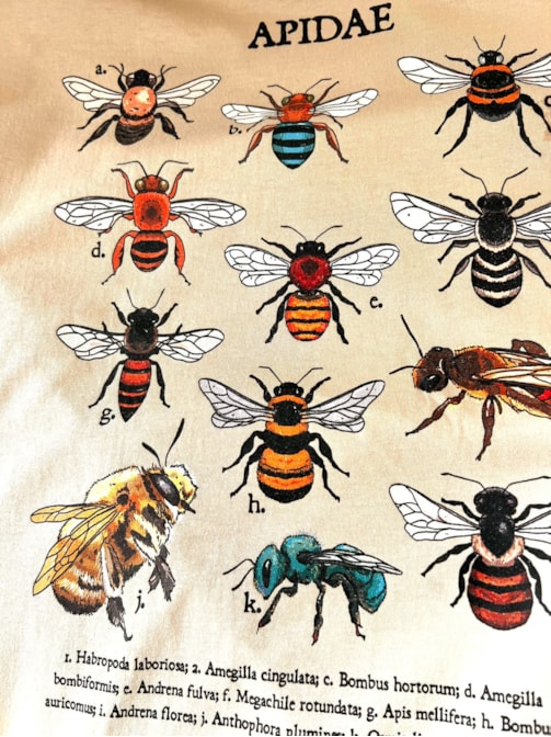 Camiseta Abelhas - Cáqui