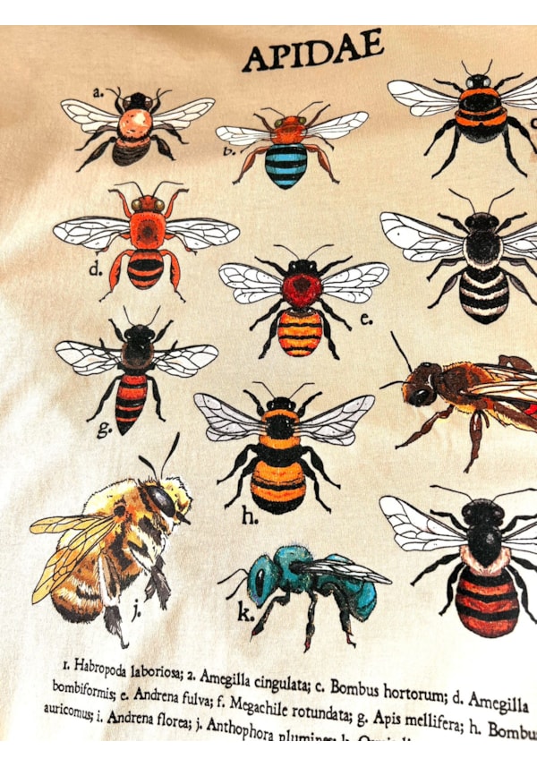 Camiseta Abelhas - Cáqui