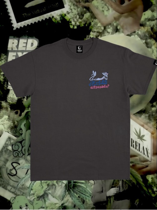 Camiseta ¡Bofetada a la pantera! - Preta - Frente e Verso