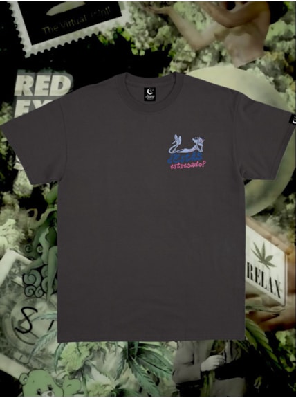 Camiseta ¡Bofetada a la pantera! - Preta - Frente e Verso