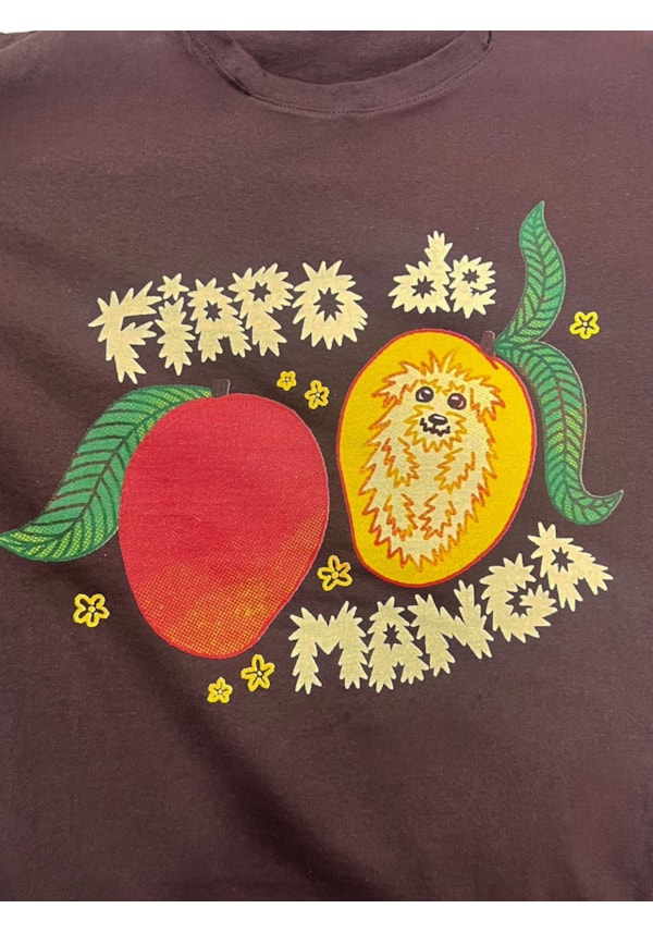 Camiseta Cão fiapo de manga - Marrom