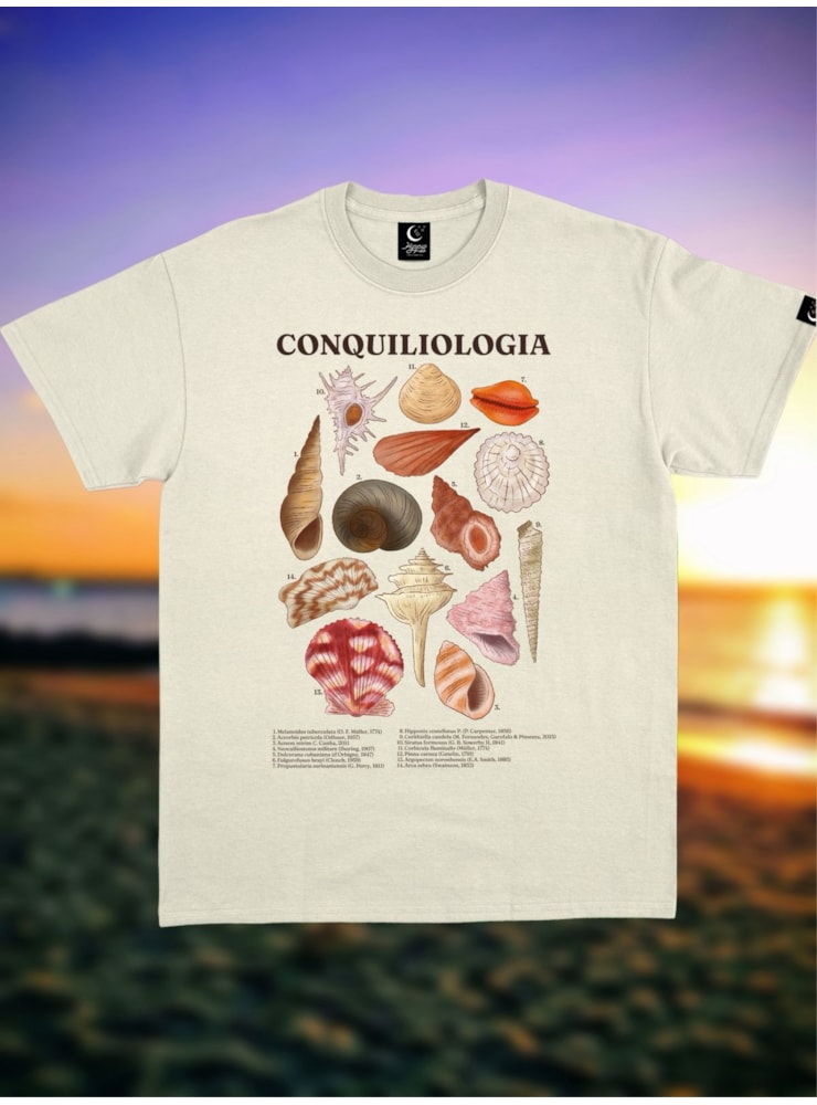 Camiseta Conchas - Off-White — imagem 1