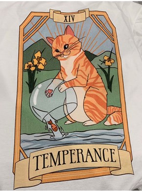 Camiseta Gatos Tarot - A Temperança - Off-White