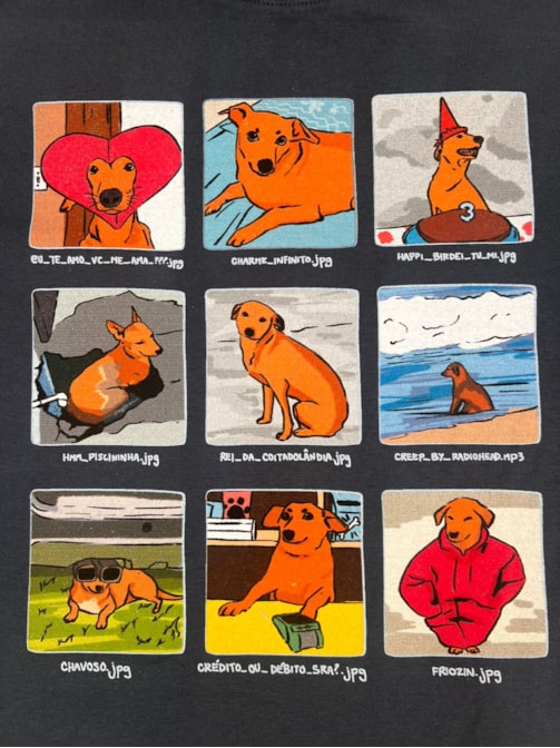 Camiseta Memes de Vira Lata Caramelo - Chumbo