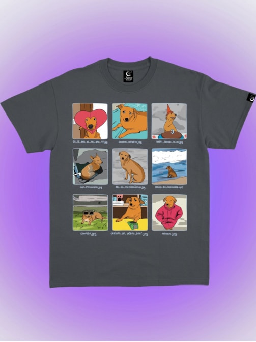 Camiseta Memes de Vira Lata Caramelo - Chumbo