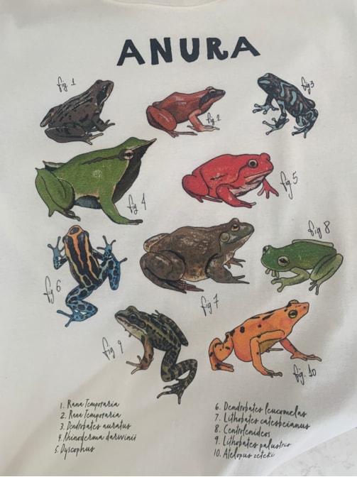 Camiseta Sapos Espécies - Off-White