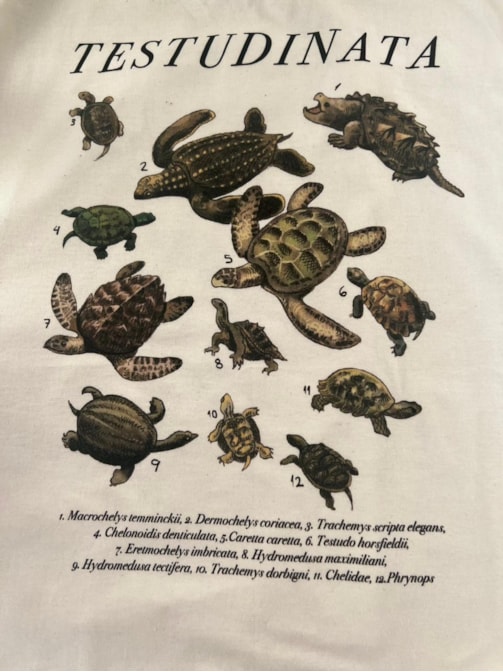 Camiseta Tartarugas - Off-White