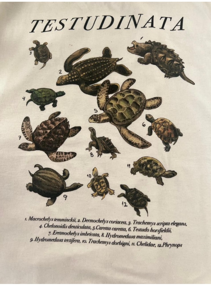 Camiseta Tartarugas - Off-White — imagem 2