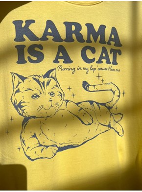 Camiseta Taylor Swift - Karma Is A Cat Azul - Amarela Clara