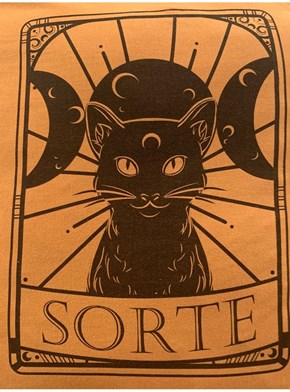 Capa de Almofada Gato Preto Dá Sorte - Caramelo