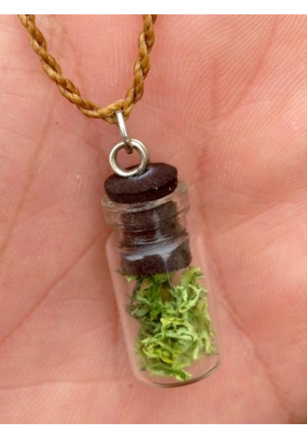 Colar Nature - Musgo