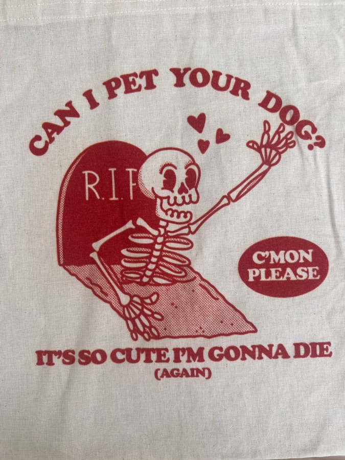 Ecobag Can I Pet Your Dog — imagem 2