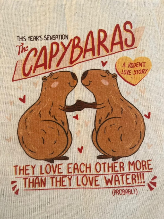 Ecobag Capivaras — imagem 2