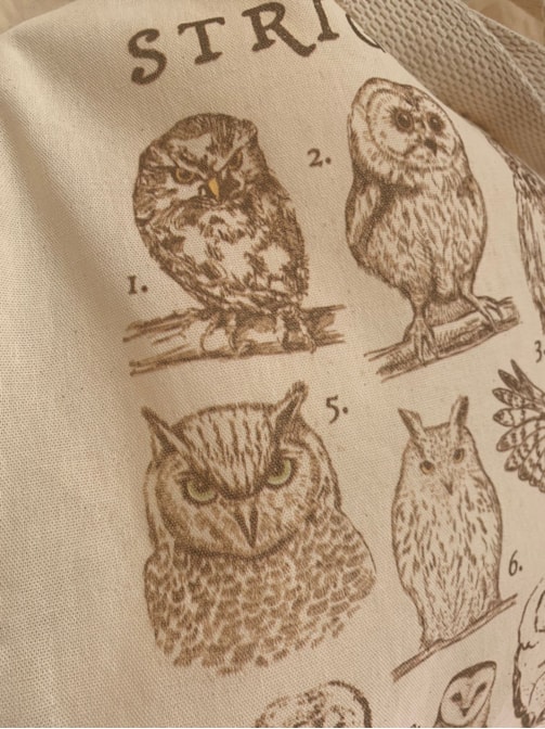 Ecobag Corujas