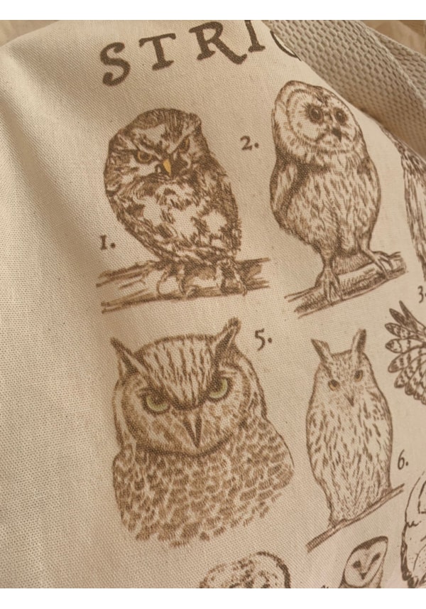 Ecobag Corujas