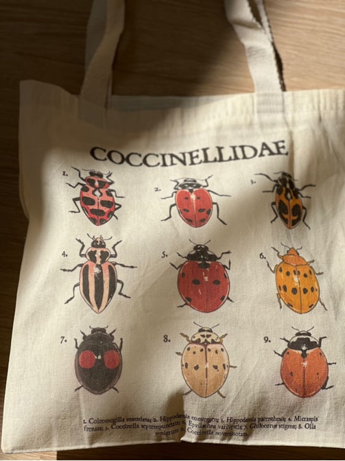Ecobag Joaninhas