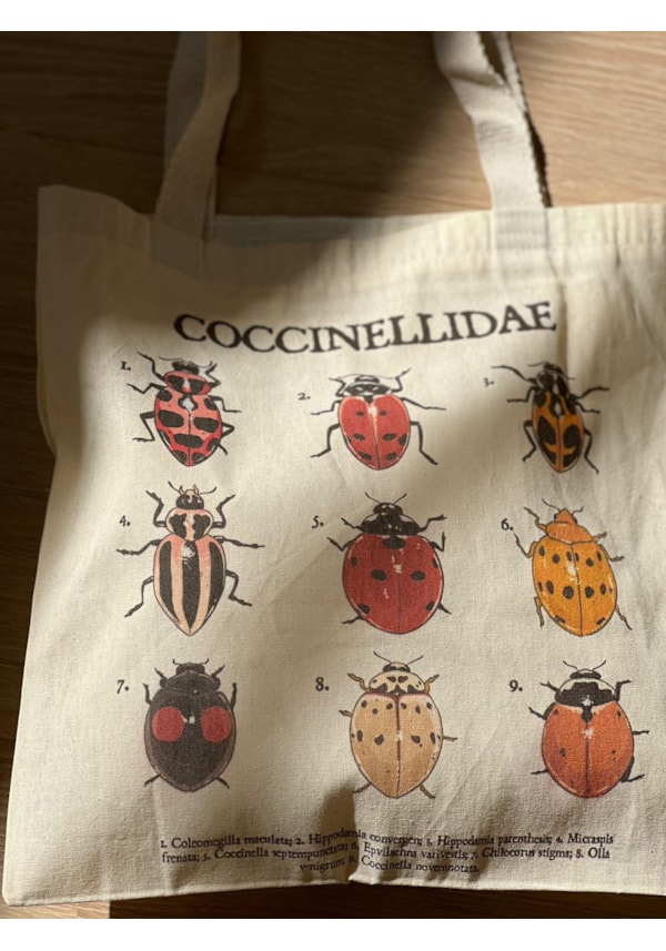 Ecobag Joaninhas