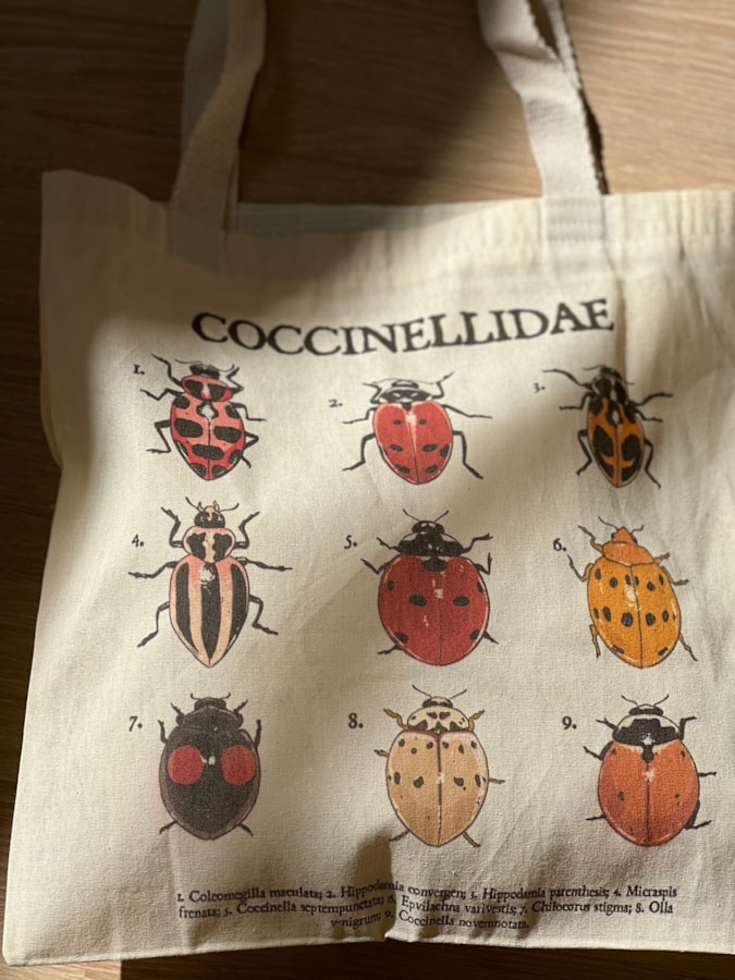 Ecobag Joaninhas — imagem 1