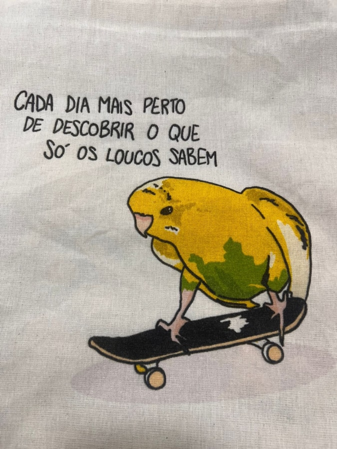 Ecobag Só os loucos sabem — imagem 2