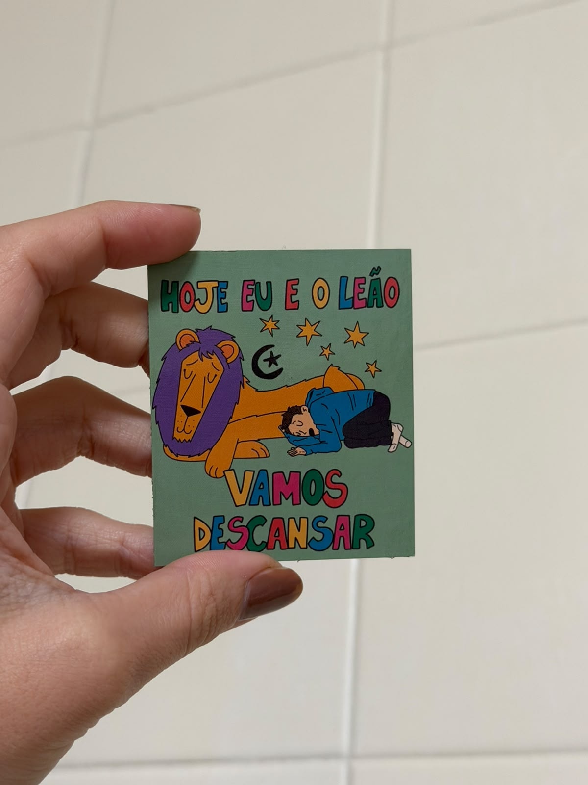 Imã de Geladeira - Eu e o Leão — imagem 2