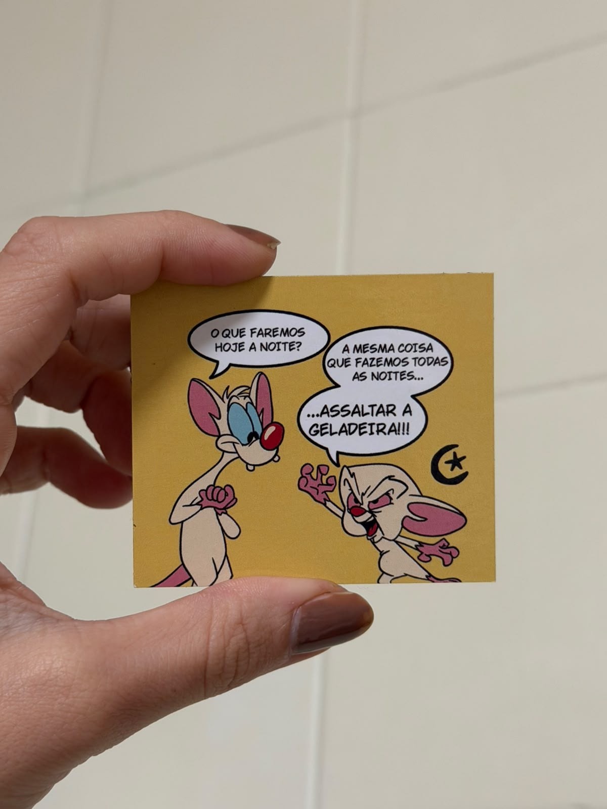 Imã de Geladeira - Pink e Cérebro — imagem 1