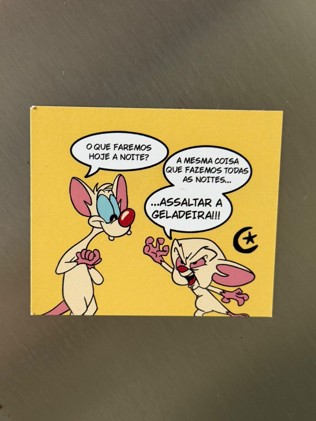 Imã de Geladeira - Pink e Cérebro — imagem 2