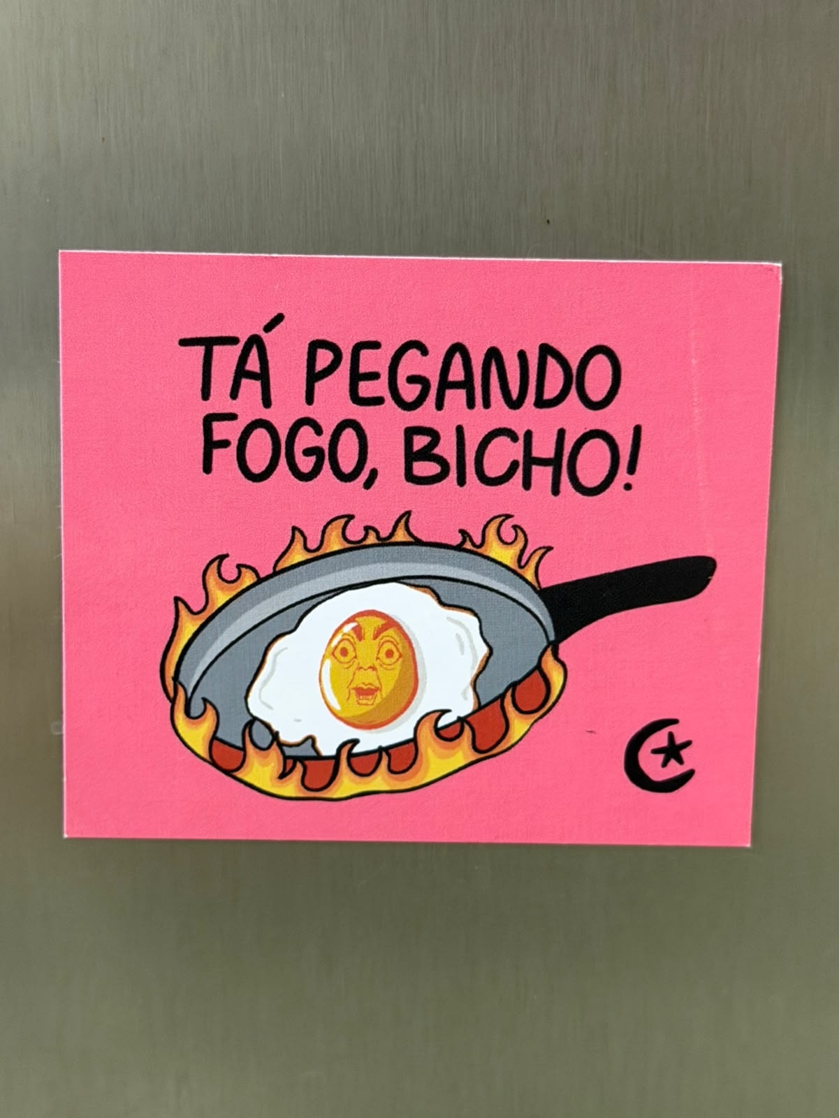 Imã de Geladeira - Tá pegando fogo bicho — imagem 1