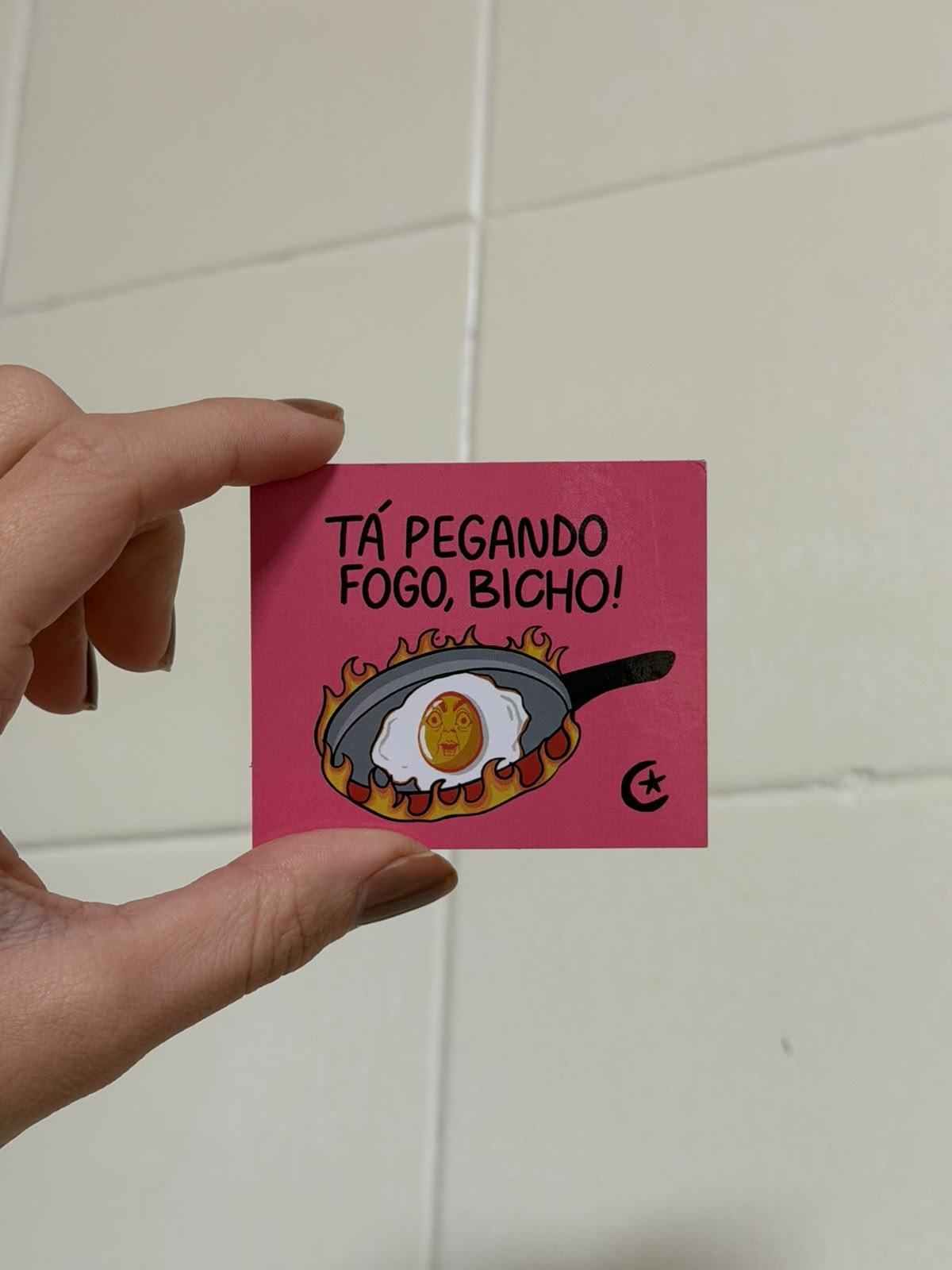 Imã de Geladeira - Tá pegando fogo bicho — imagem 2