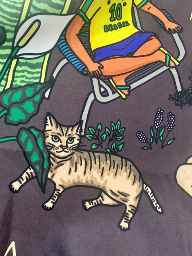 Panô A Curandeira — imagem 2