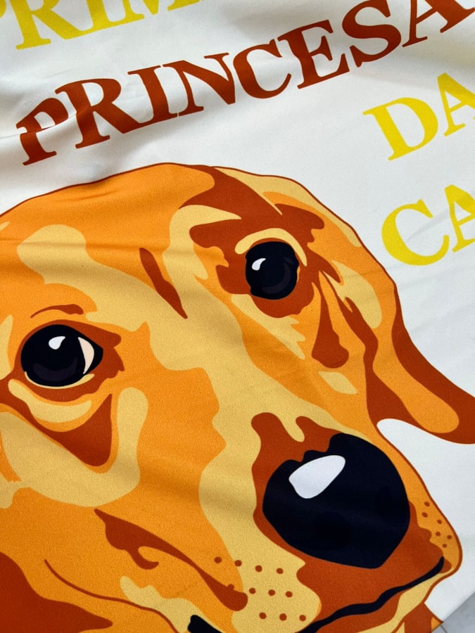 Panô Cumprimente a Princesa da casa — imagem 2