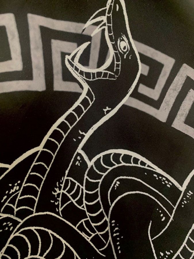 Panô Deusa Medusa — imagem 2