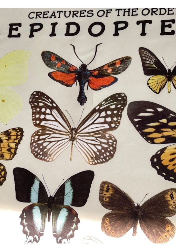Panô Hippie Lepidoptera
