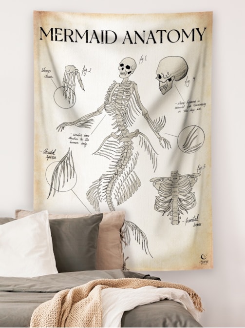 Panô Mermaid Anatomy