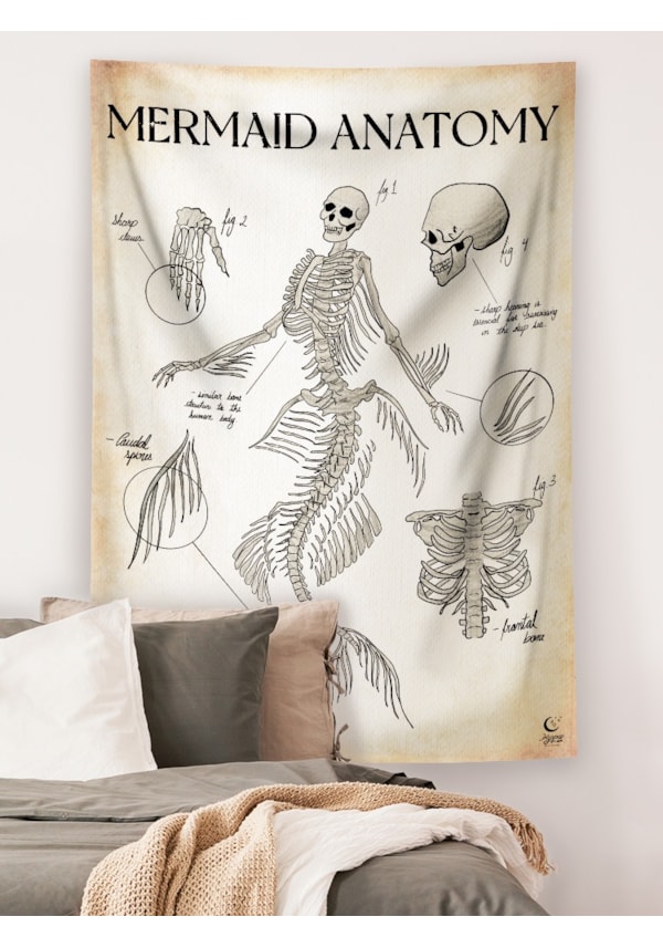 Panô Mermaid Anatomy