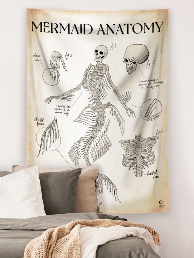 Panô Mermaid Anatomy — imagem 1