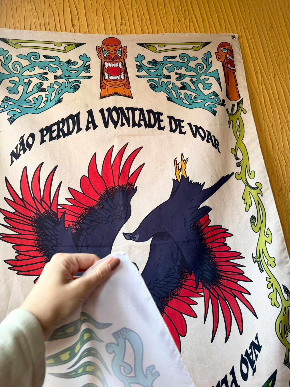 Panô Não Perdi a Vontade de Voar — imagem 2