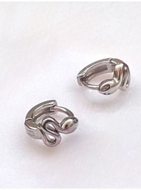 Par de Brincos Argola Serpente - Aço Inox