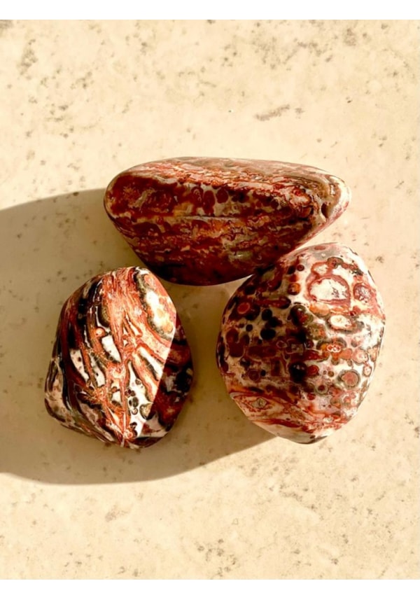 Pedra Leopardita- Pedra da Verdade