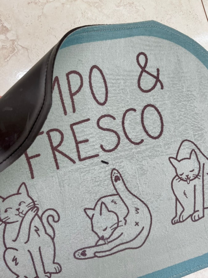 Tapete Limpo e Fresco - 49cm x 39cm — imagem 2