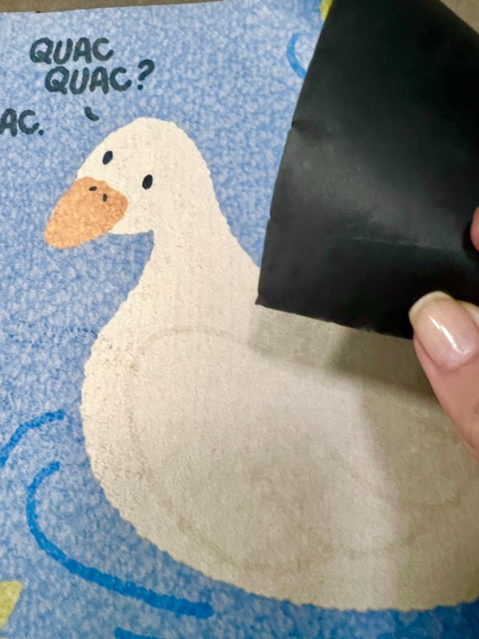 Tapete Patos Quac Quac — imagem 2